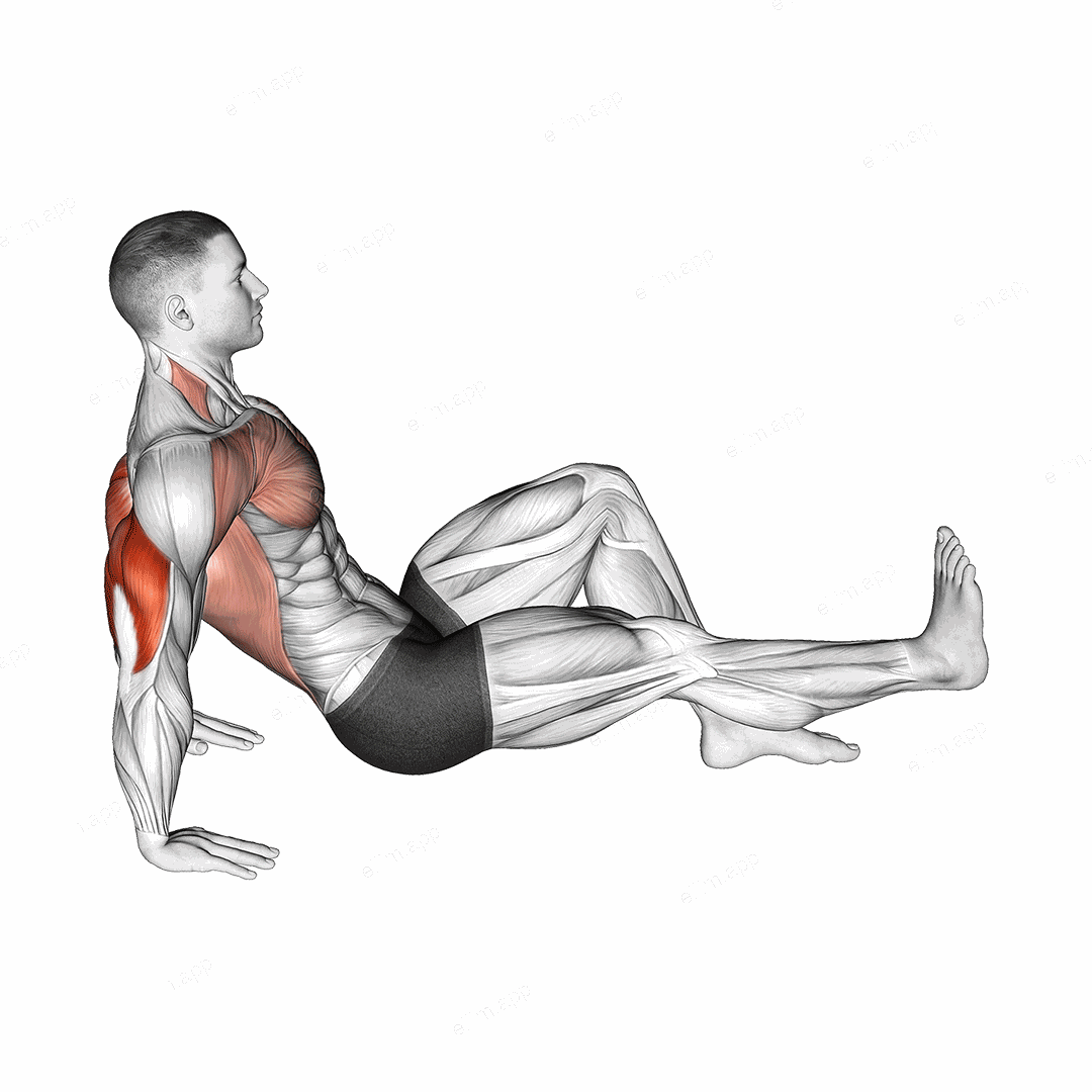 Single Leg Dip on floor exercise targeting Upper Arms and Triceps Brachii