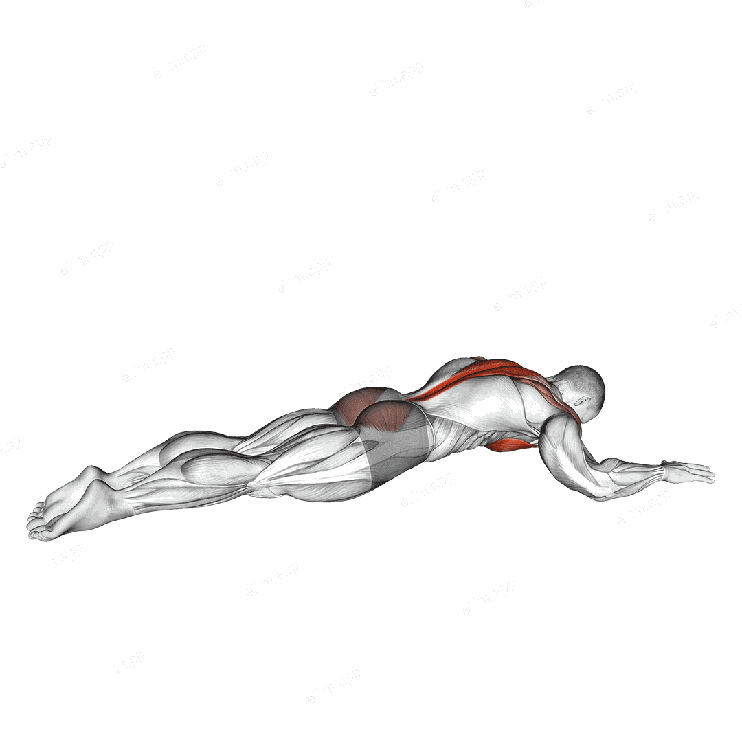 Superman Chest Stretch exercise targeting Hips and Deltoid Anterior