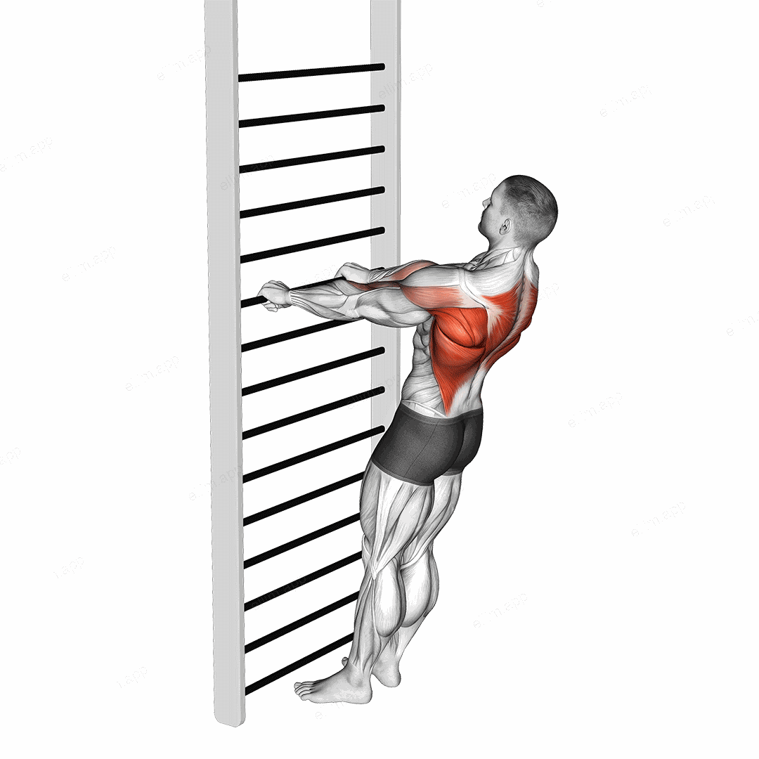 Bodyweight Standing Row exercise targeting Back and Infraspinatus