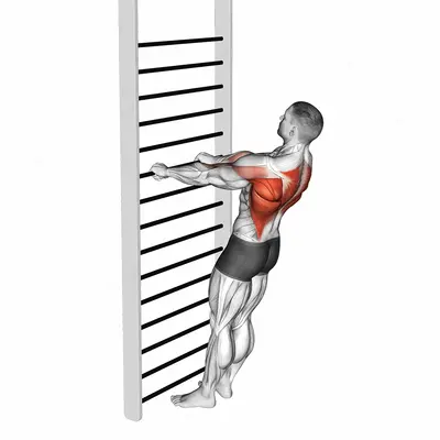Bodyweight Standing Row exercise targeting Back and Infraspinatus