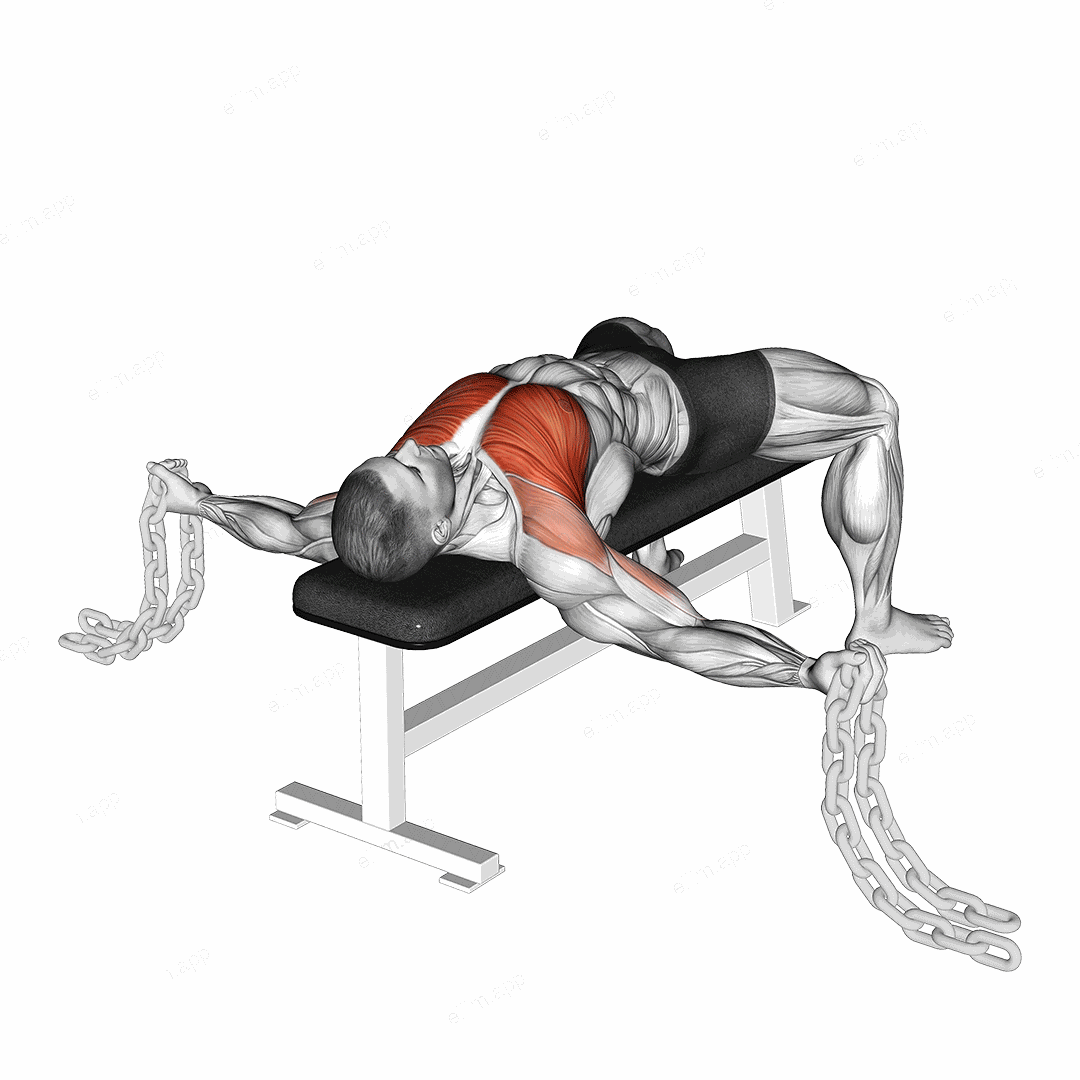 Fly agains Chains exercise targeting Chest