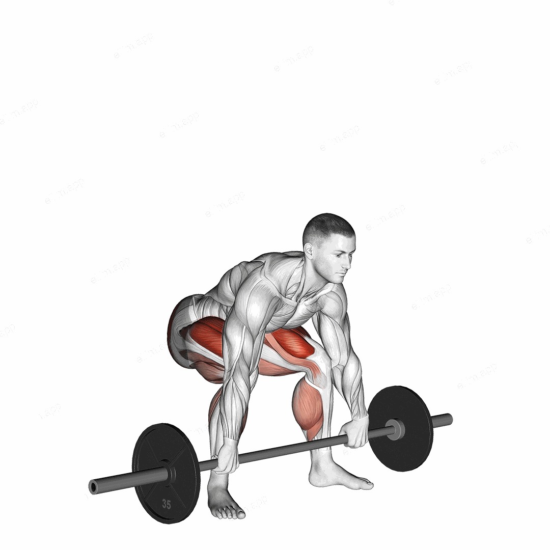 Barbell Snatch grip Deadlift exercise targeting Hips