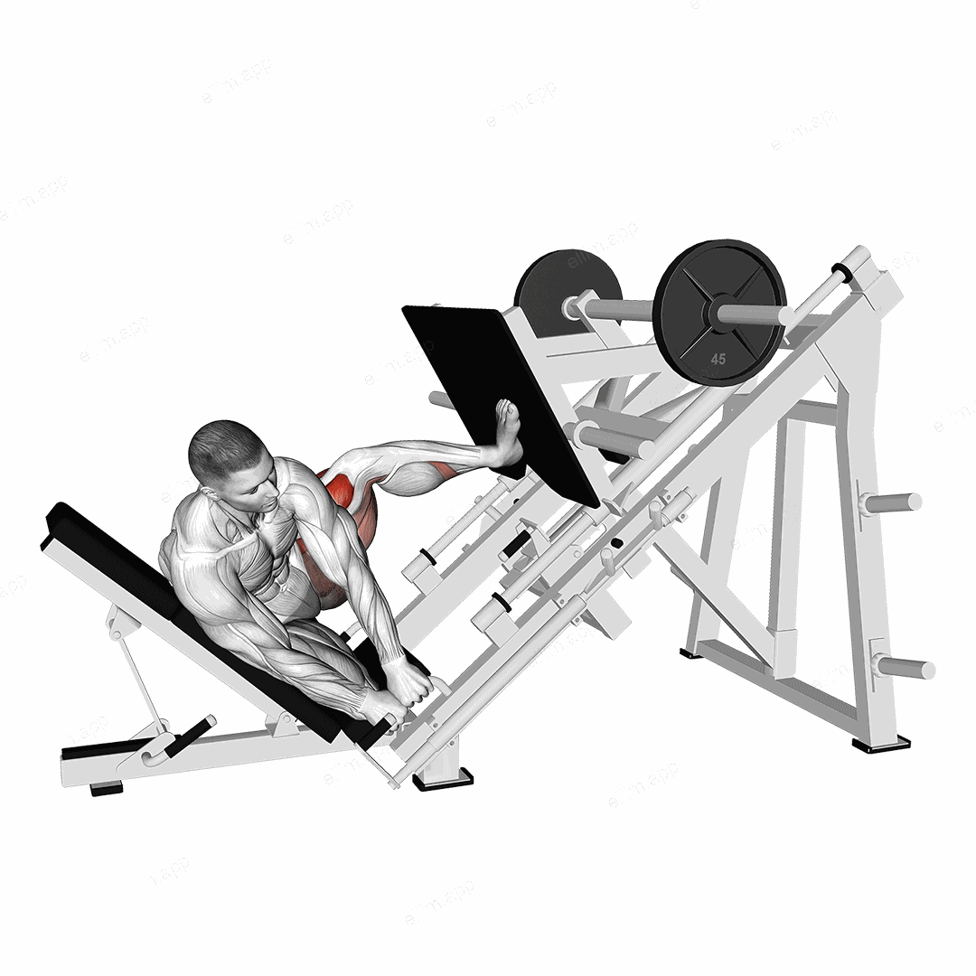 Sled Side Leg Press exercise targeting Hips