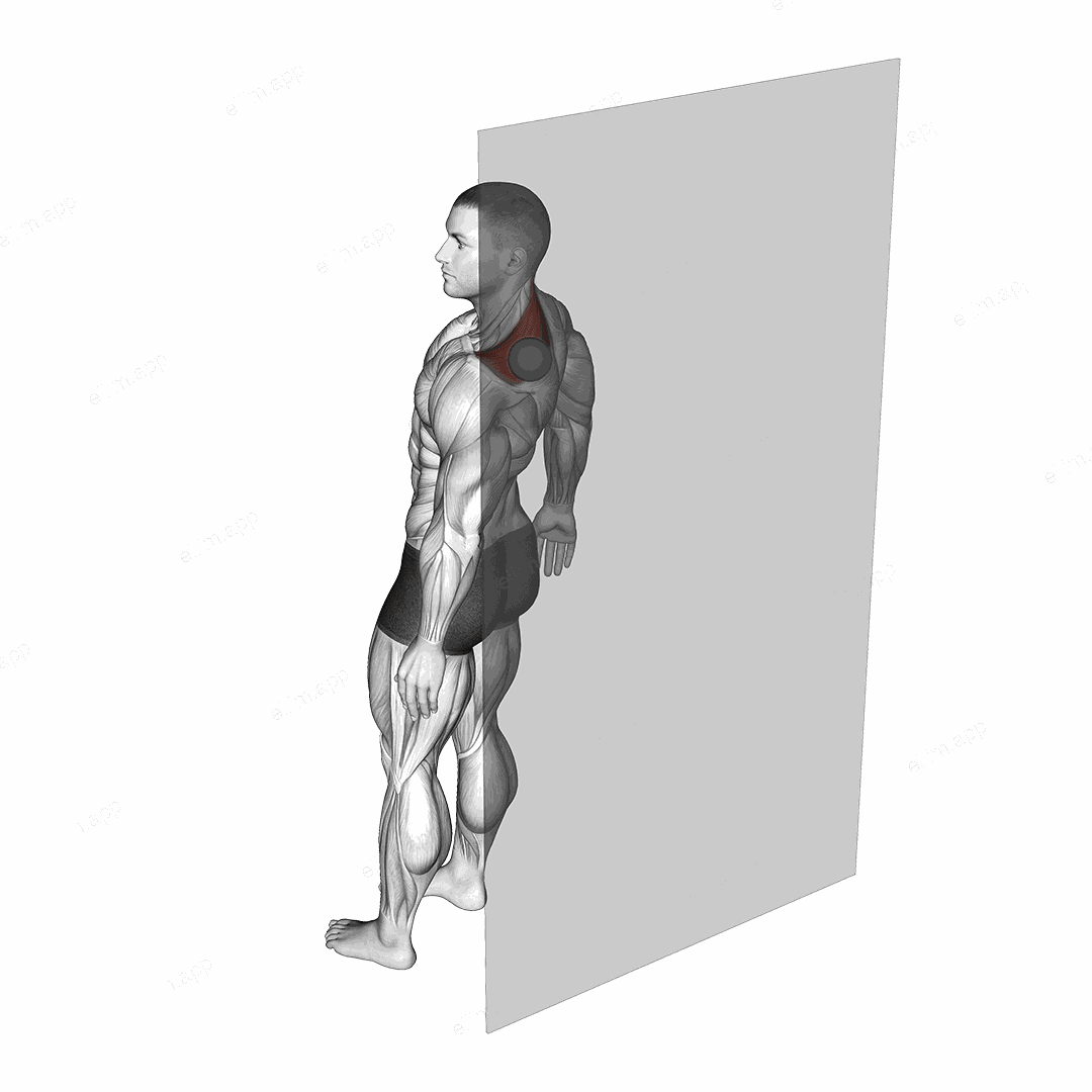 Roll Ball Trapezius Upper exercise targeting Back