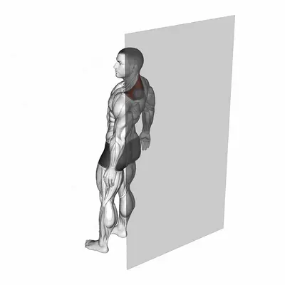Roll Ball Trapezius Upper exercise targeting Back