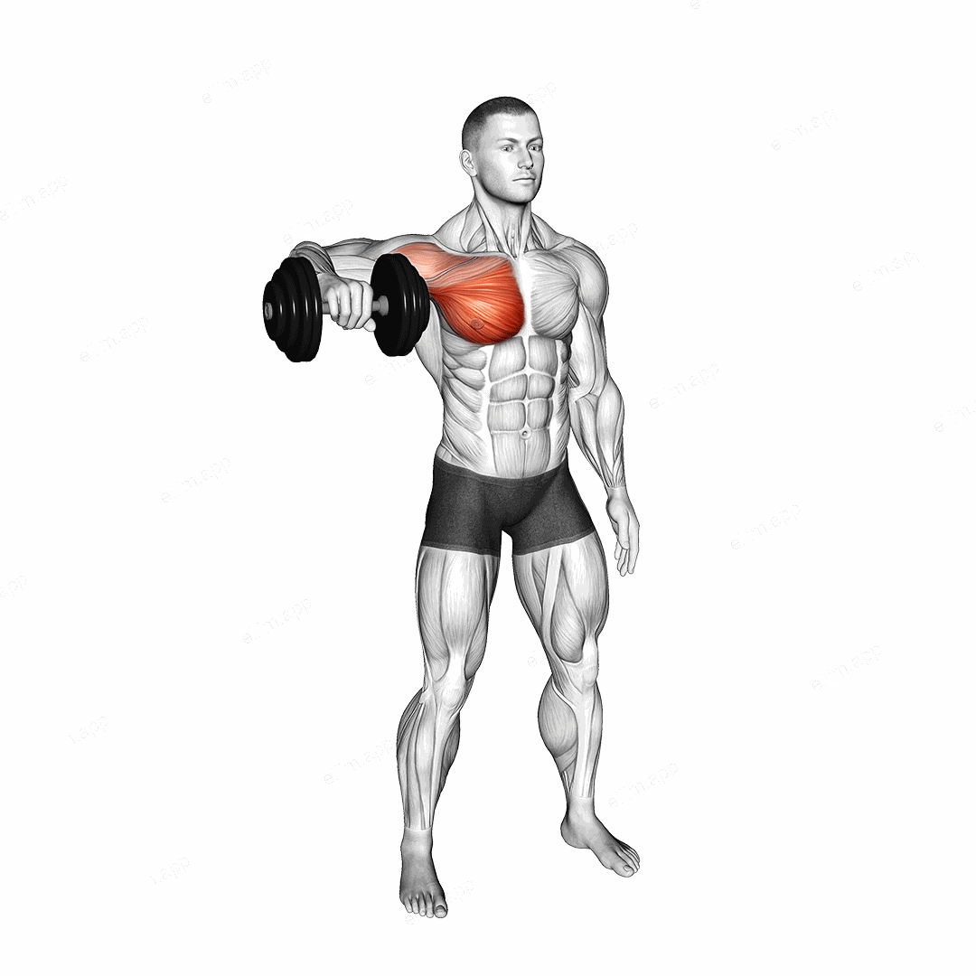 Dumbbell Shoulder Internal Rotation at 90 Abduction exercise targeting Back