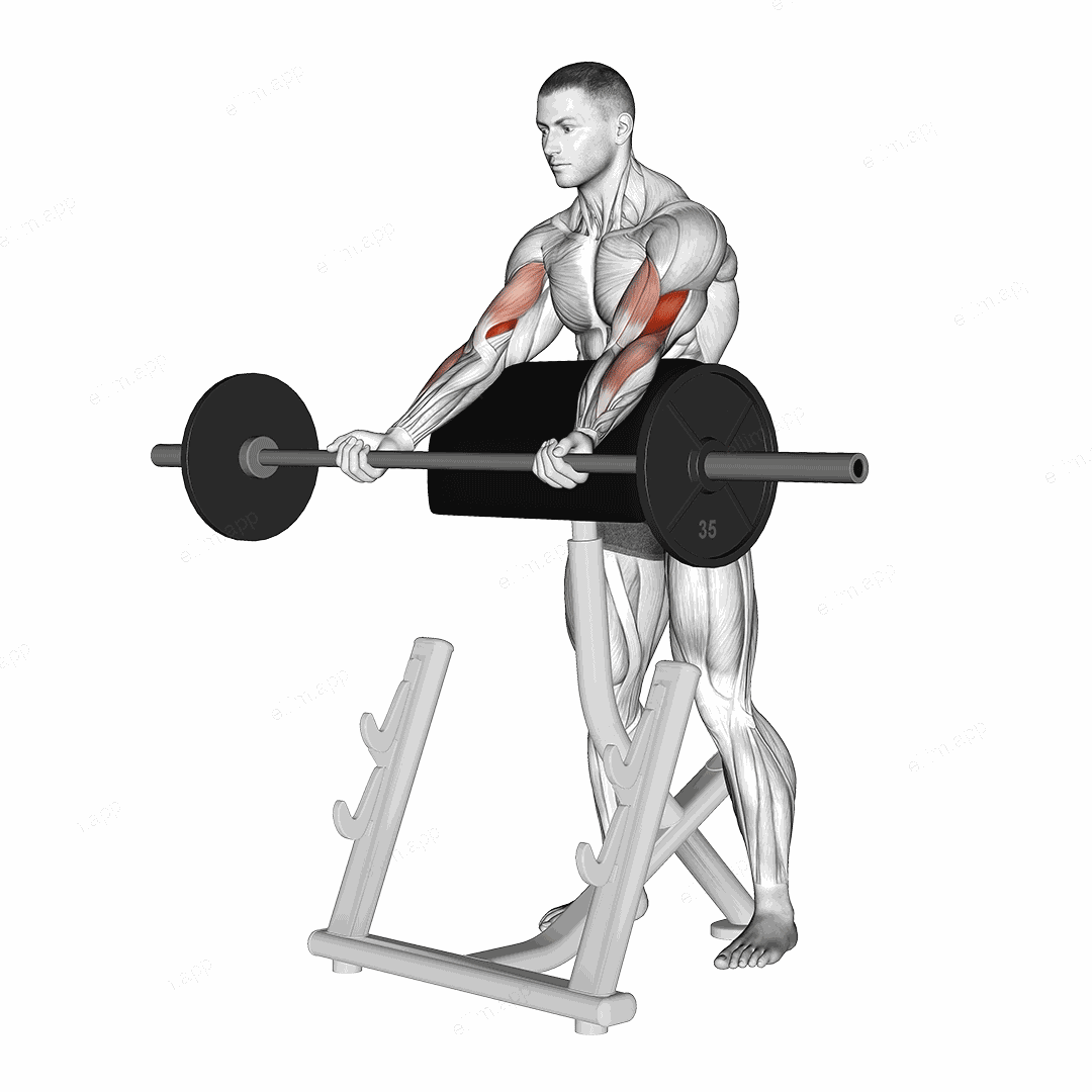 Barbell Spider Curl exercise targeting Upper Arms