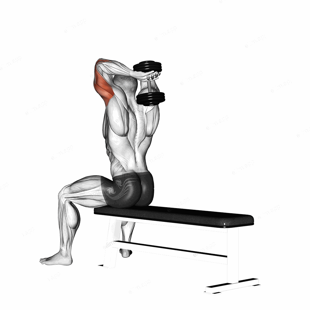 Dumbbell Seated Bench Extension exercise targeting Upper Arms and Triceps Brachii
