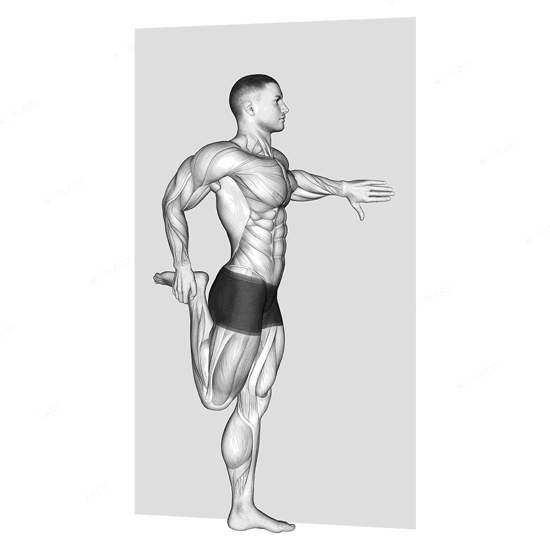 Standing Quadriceps Stretch exercise targeting Thighs and Quadriceps