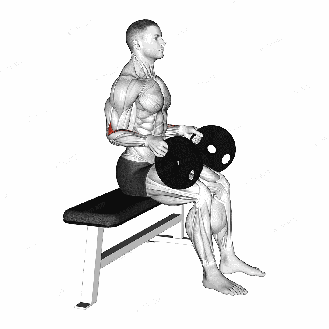 Weighted Seated Neutral Wrist Curl exercise targeting Forearms