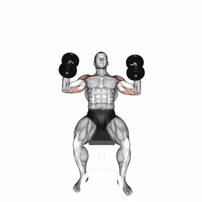 Dumbbell Incline Hammer Press exercise targeting Chest and Pectoralis Major Clavicular Head