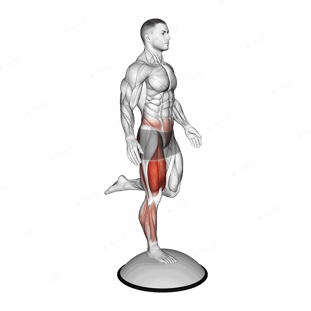 Bosu Ball Balance Counterbalanced Skater Squat exercise targeting Thighs