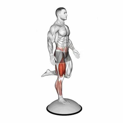 Bosu Ball Balance Counterbalanced Skater Squat exercise targeting Thighs