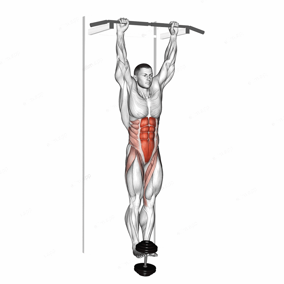 Weighted Hanging leg hip raise exercise targeting Waist