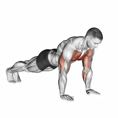 Plyo Push Up exercise targeting Chest and Pectoralis Major Sternal Head