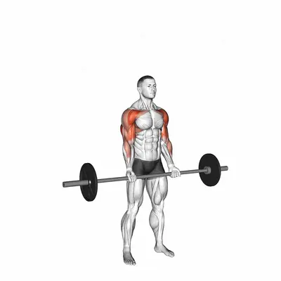Barbell Curl Press Extension exercise targeting Upper Arms