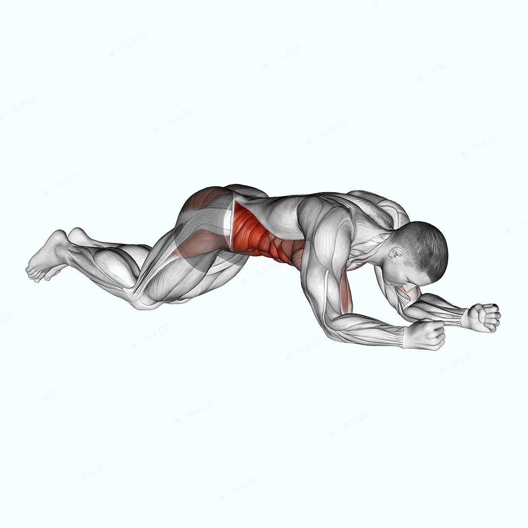Kneeling Plank Tap Shoulder exercise targeting Waist