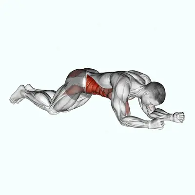 Kneeling Plank Tap Shoulder exercise targeting Waist