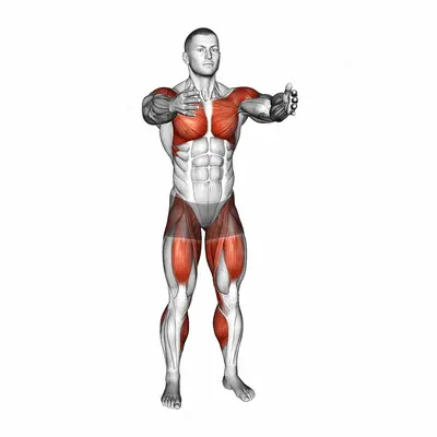 Front Leg Lift Under Knee Tap exercise targeting Plyometrics