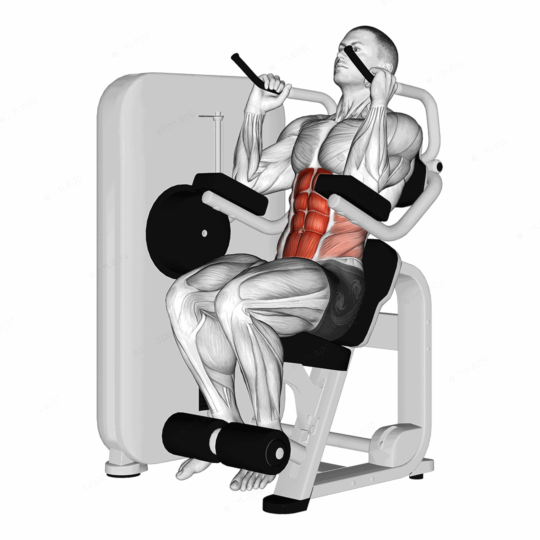 Lever Seated Crunch exercise targeting Waist and Rectus Abdominis