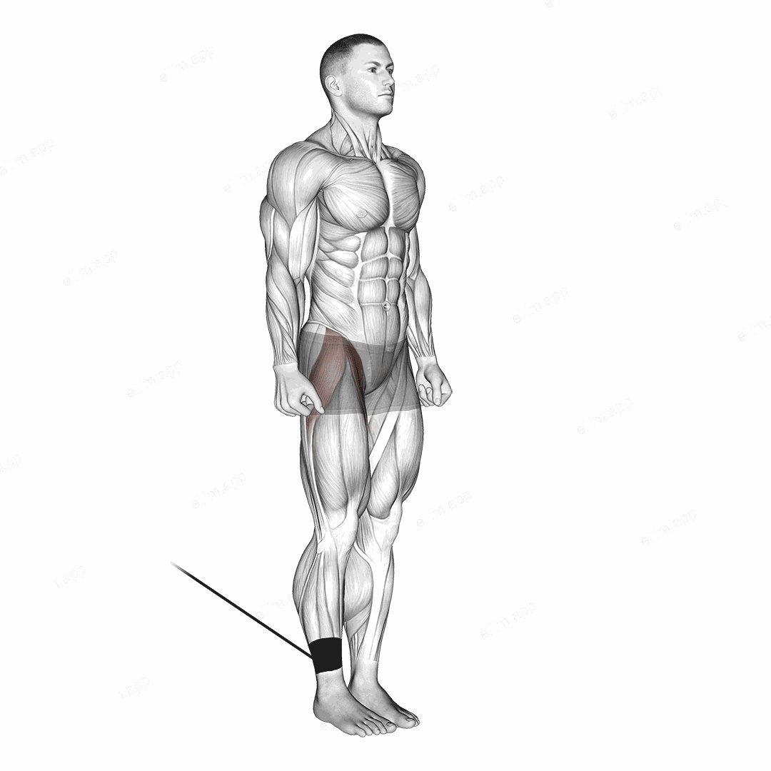 Band Hip Flexion exercise targeting Hips