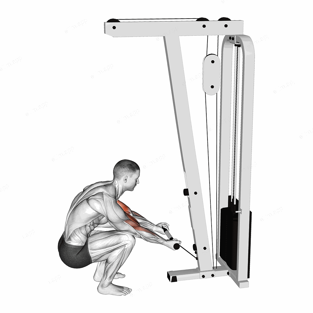 Cable Kneeling Preacher Curl exercise targeting Upper Arms and Biceps Brachii