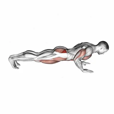 Spider Crawl Push up exercise targeting Hips and Gluteus Medius
