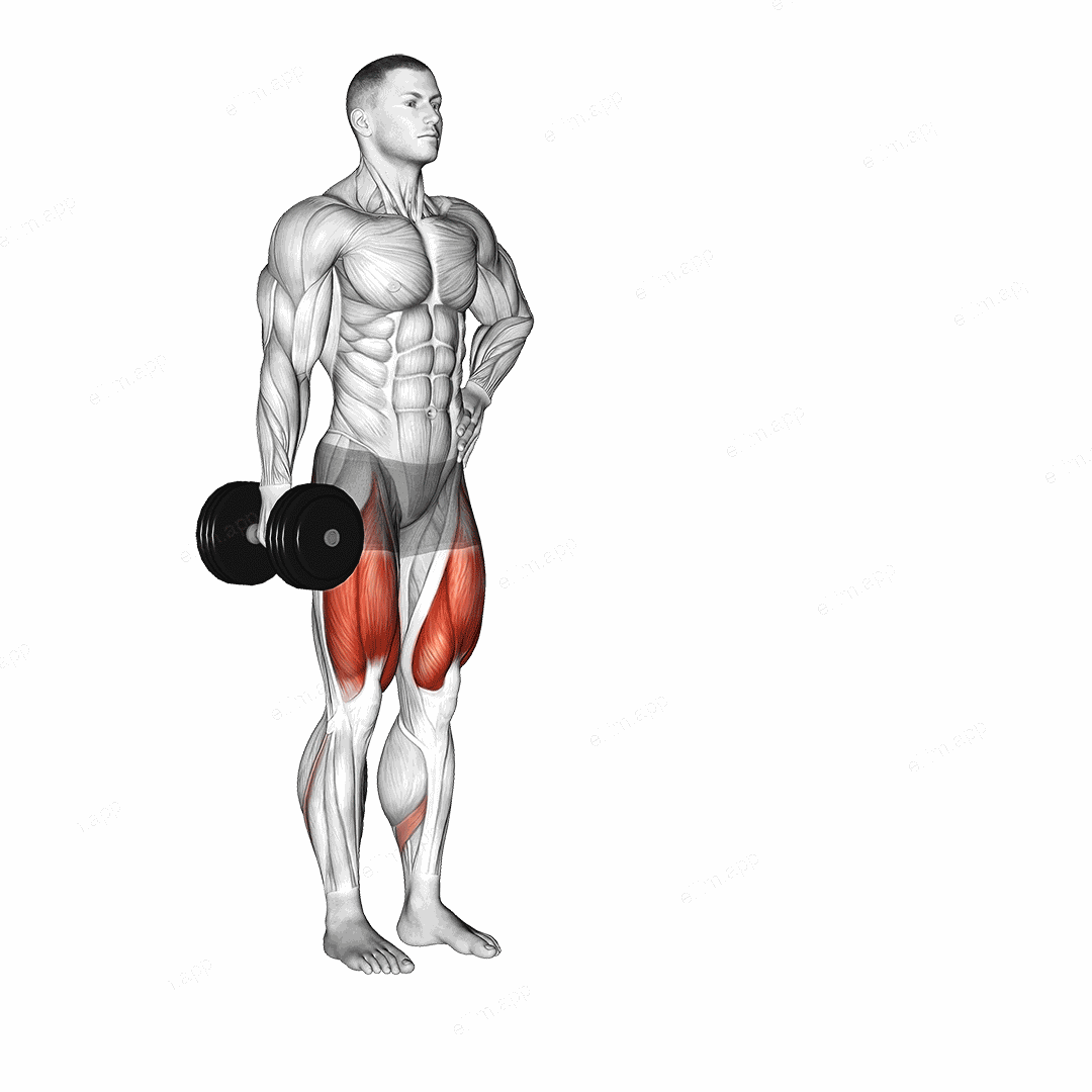 Dumbbell Contralateral Forward Lunge exercise targeting Thighs and Gluteus Maximus