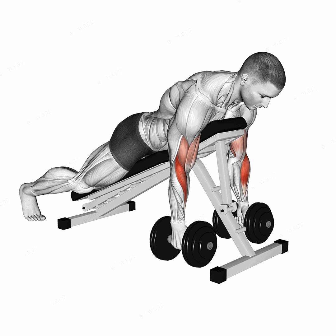 Dumbbell Prone Alternate Hammer Curl exercise targeting Forearms