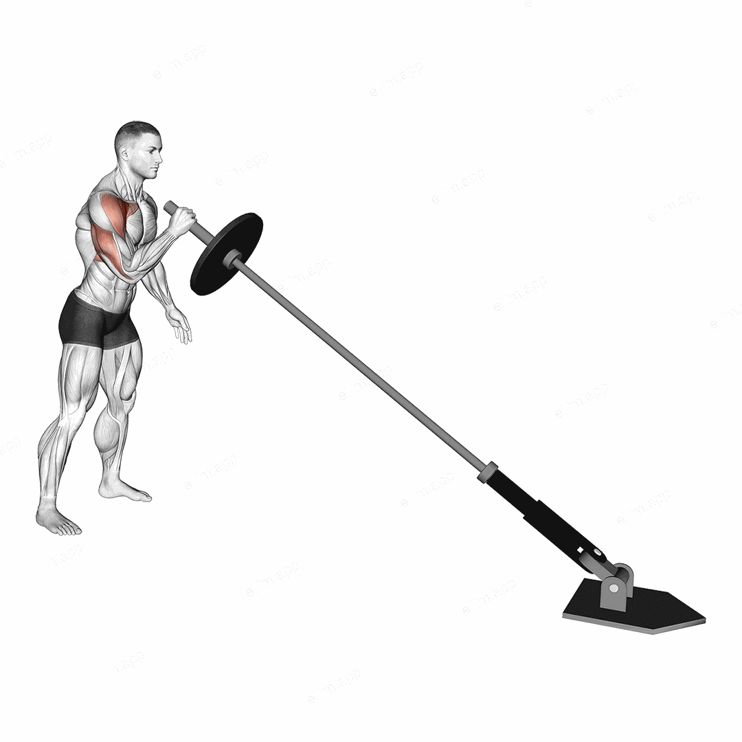 Landmine Single Arm Press exercise targeting Shoulders and Pectoralis Major Sternal Head