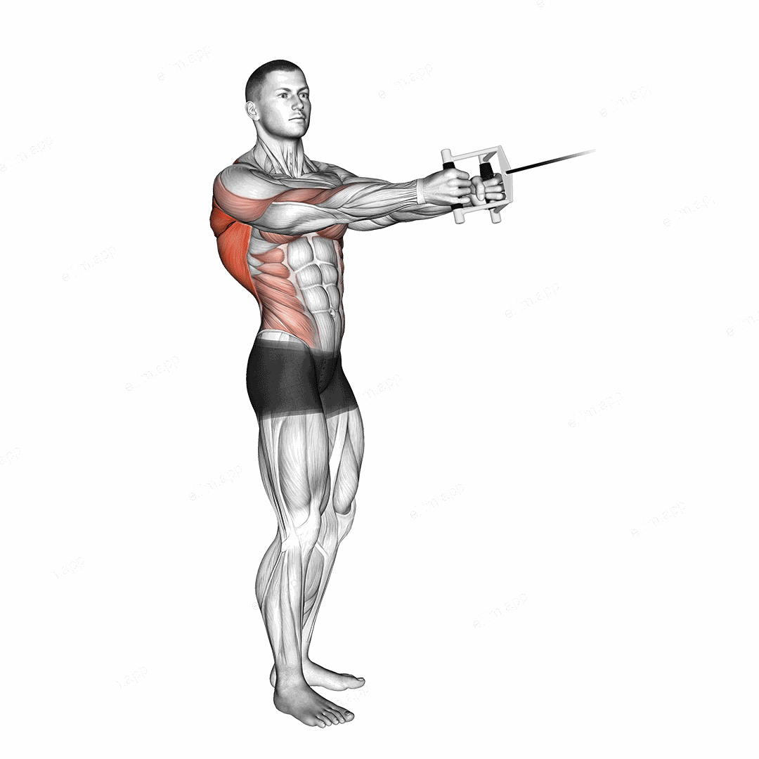 Cable Standing Twist Row (V bar) exercise targeting Waist