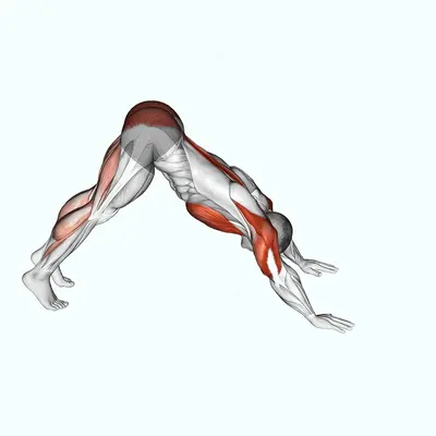 Pike to Cobra Push-up exercise targeting Chest and Hips