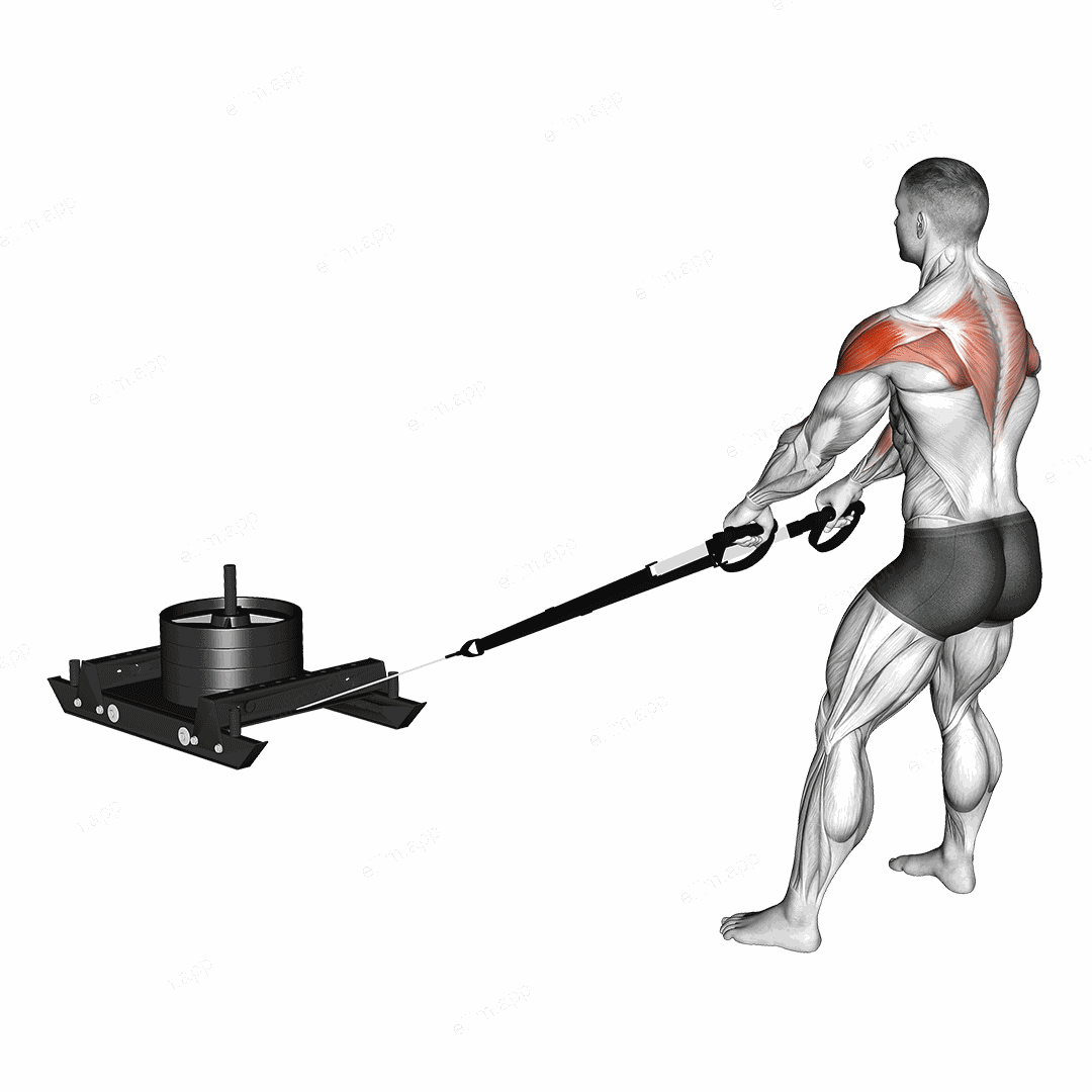 Power Sled High Pull exercise targeting Shoulders