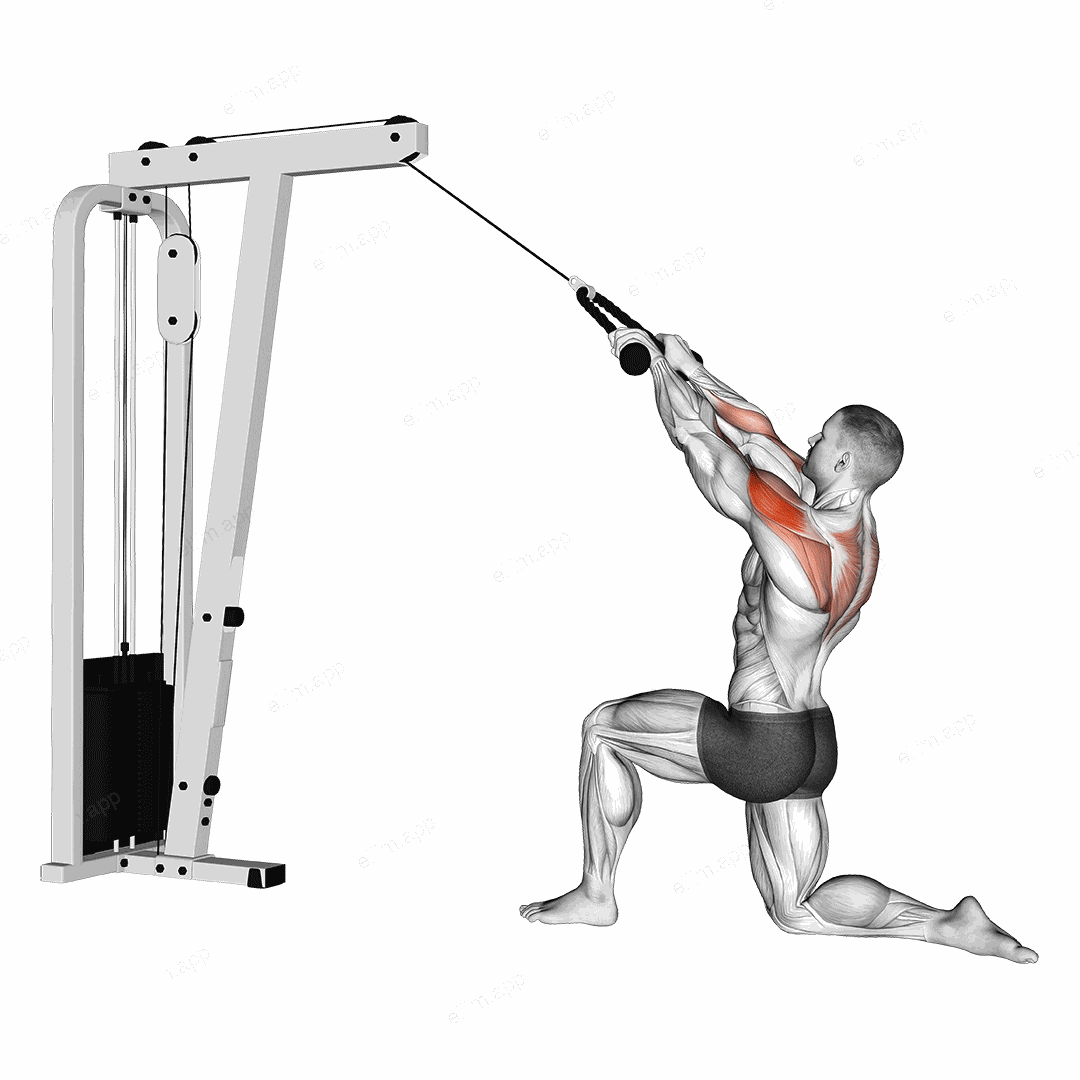 Cable Kneeling Rear Delt Row (with rope) exercise targeting Shoulders and Deltoid Posterior