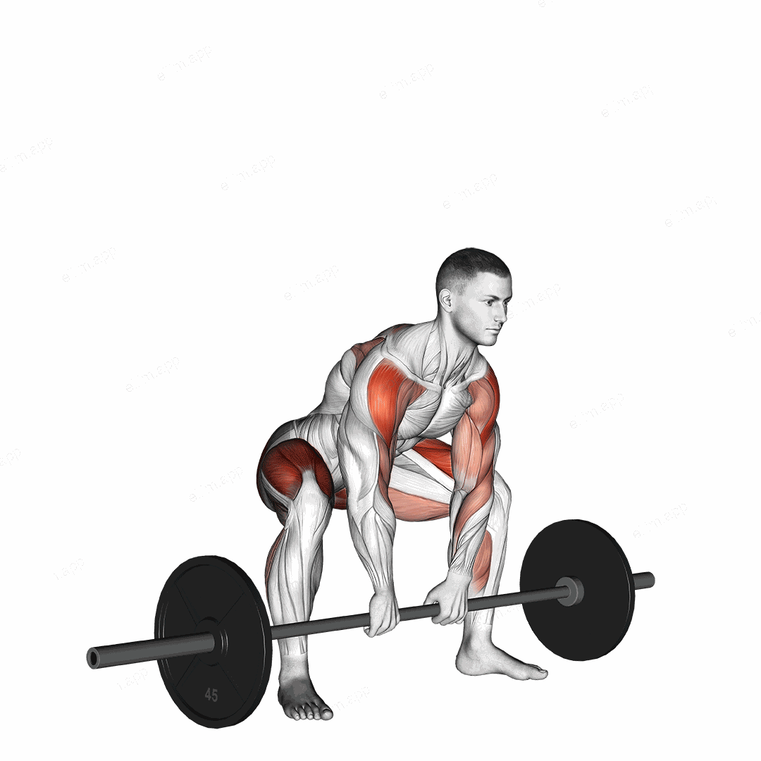 Sumo Deadlift High Pull exercise targeting Shoulders and Deltoid Lateral