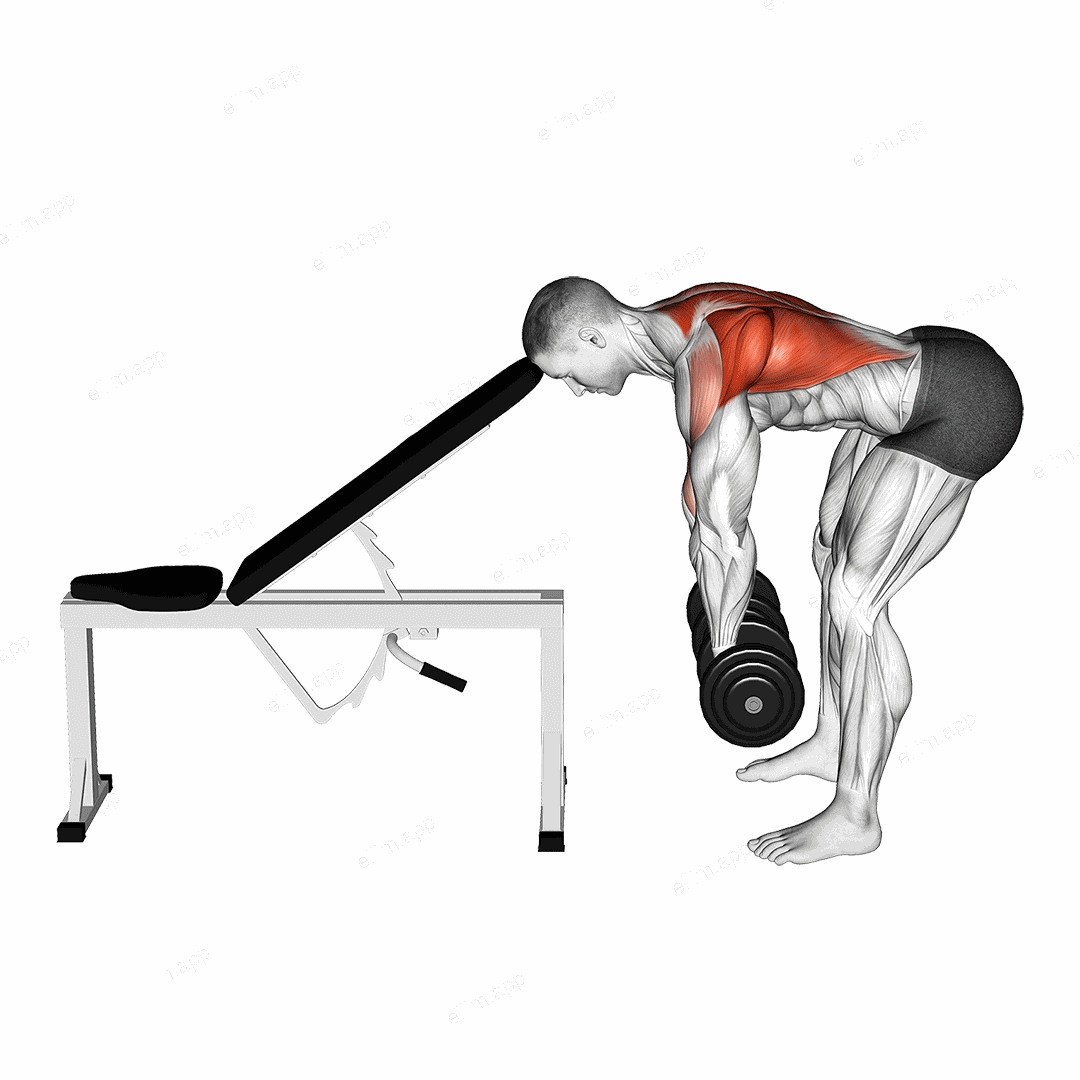 Dumbbell Head Supported Row exercise targeting Back