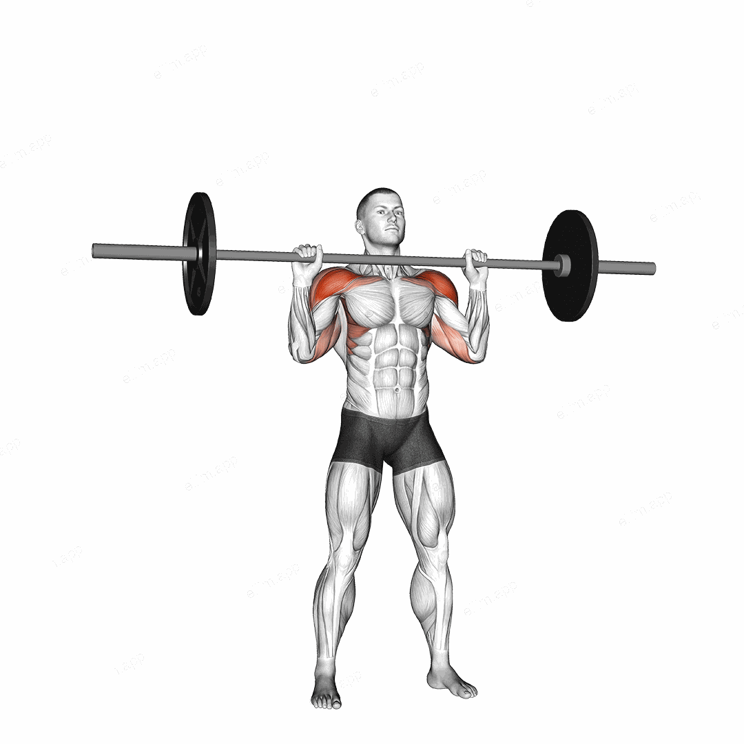 Barbell Standing Military Press (without rack) exercise targeting Shoulders and Deltoid Anterior