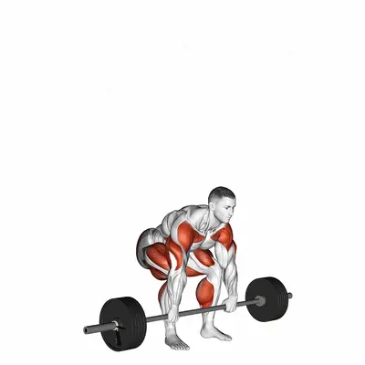 StrongMan Apollons Axle exercise targeting Forearms and Hips