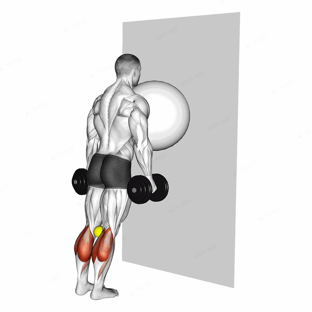 Exercise Ball on the Wall Calf Raise (tennis ball between knees) exercise targeting Calves and Gastrocnemius
