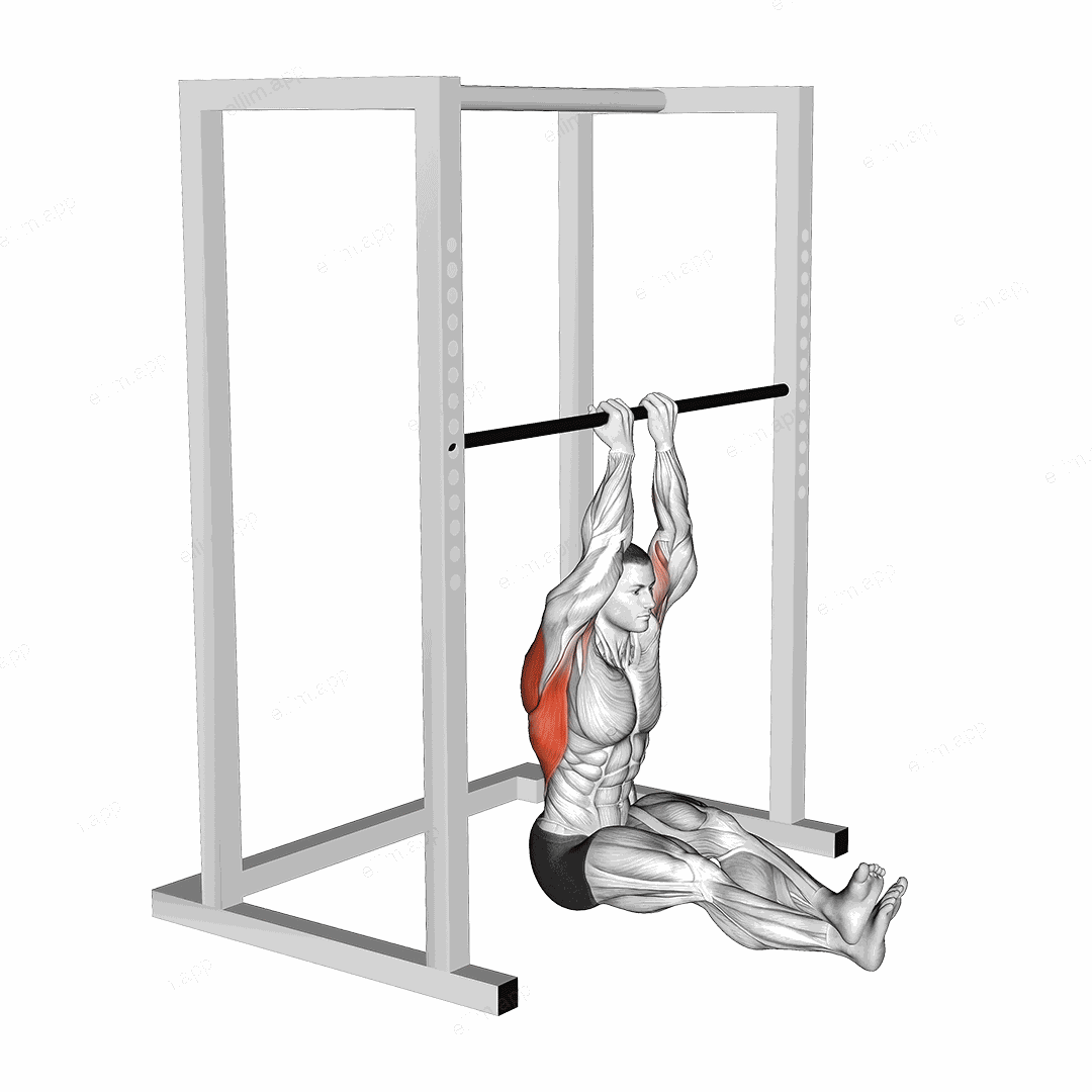 Narrow Seated Chin up exercise targeting Back