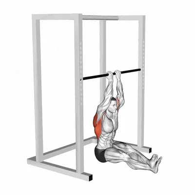 Narrow Seated Chin up exercise targeting Back