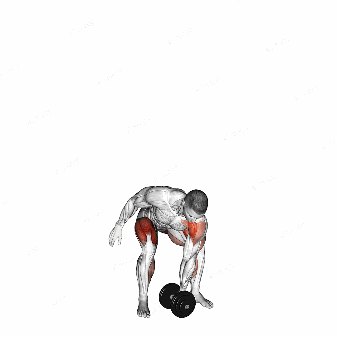 Dumbbell One Arm Snatch (left) exercise targeting Weightlifting