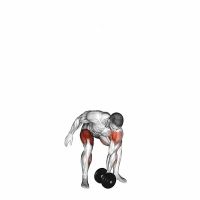 Dumbbell One Arm Snatch (left) exercise targeting Weightlifting
