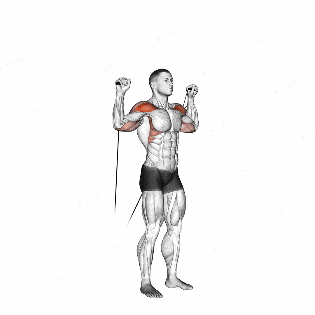 Cable Shoulder Press exercise targeting Shoulders and Deltoid Anterior