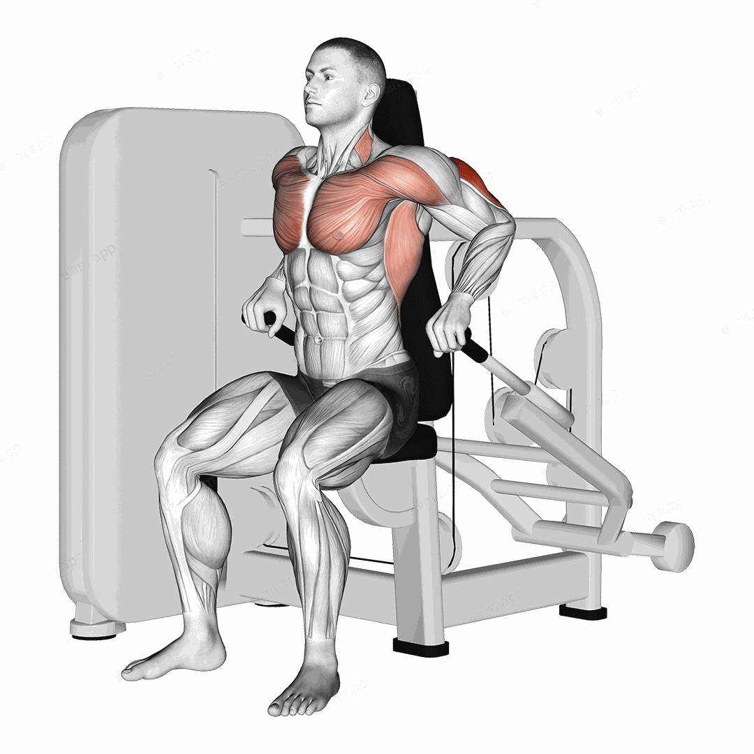Lever Seated Dip exercise targeting Upper Arms and Triceps Brachii