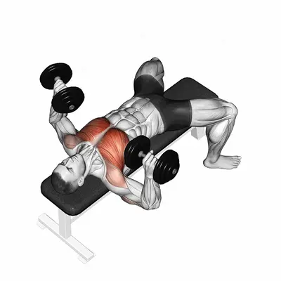 Dumbbell Bench Press exercise targeting Chest and Pectoralis Major Clavicular Head