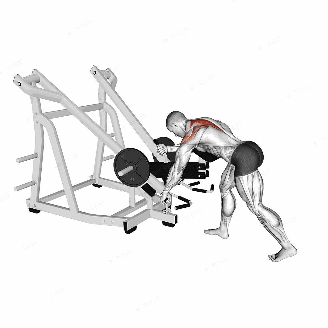 Lever Bent Over Single Arm Wide Grip Row (with chest support) exercise targeting Back