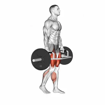Trap Bar Split Stance RDL exercise targeting Hips and Gluteus Maximus