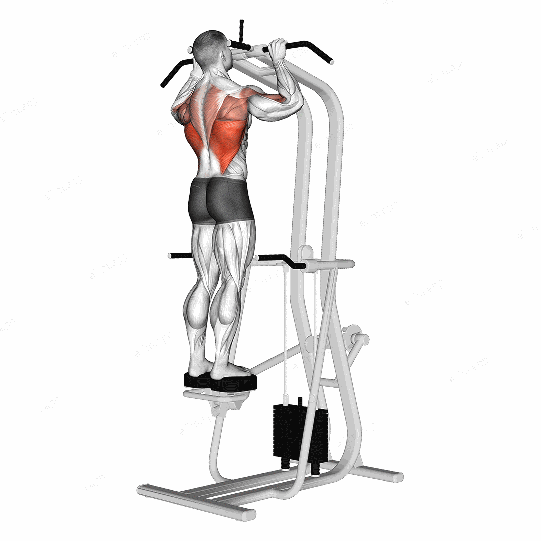 Assisted Standing Pull-up exercise targeting Back and Latissimus Dorsi