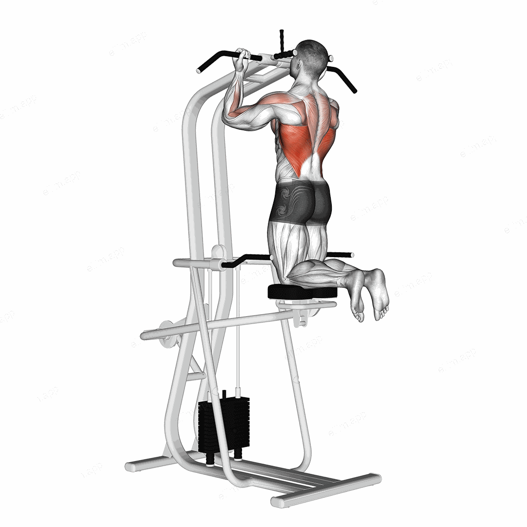 Lever Assisted Chin Up exercise targeting Back